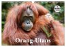 Orang-Utans (Wandkalender 2026 DIN A3... - Bild 1