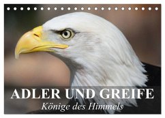 Adler und Greife - Könige des Himmels (Tischkalender 2026 DIN A5 quer), CALVENDO Monatskalender