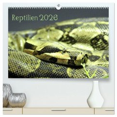 Cover Reptilien 2026 (hochwertiger Premium Wandkalender 2026 DIN A2 quer), Kunstdruck in Hochglanz
