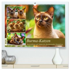 Burma-Katzen. Ausstrahlung und Anmut der faszinierenden Samtpfoten (hochwertiger Premium Wandkalender 2026 DIN A2 quer), Kunstdruck in Hochglanz Burma-Katzen. Ausstrahlung und Anmut der faszinierenden Samtpfoten (hochwertiger Premium Wandkalender 2026 DIN A2 quer), Kunstdruck in Hochglanz