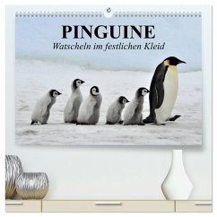 Pinguine - Watscheln im festlichen Kleid (hochwertiger Premium Wandkalender 2026 DIN A2 quer), Kunstdruck in Hochglanz Pinguine - Watscheln im festlichen Kleid (hochwertiger Premium Wandkalender 2026 DIN A2 quer), Kunstdruck in Hochglanz