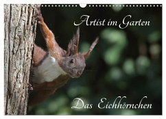 Cover Artist im Garten. Das Eichhörnchen (Wandkalender 2026 DIN A3 quer), CALVENDO Monatskalender
