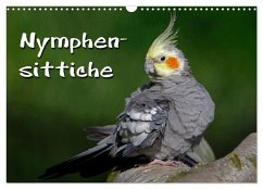 Nymphensittiche (Wandkalender 2026 DIN A3 quer), CALVENDO Monatskalender Nymphensittiche (Wandkalender 2026 DIN A3 quer), CALVENDO Monatskalender