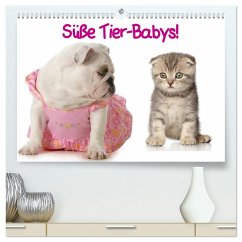 Süße Tier-Babys! (hochwertiger Premium Wandkalender 2026 DIN A2 quer), Kunstdruck in Hochglanz Süße Tier-Babys! (hochwertiger Premium Wandkalender 2026 DIN A2 quer), Kunstdruck in Hochglanz