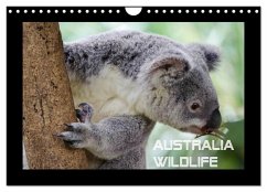 Australia Wildlife (Wandkalender 2026 DIN A4 quer), CALVENDO Monatskalender Australia Wildlife (Wandkalender 2026 DIN A4 quer), CALVENDO Monatskalender