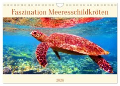 Faszination Meeresschildkröten (Wandkalender 2026 DIN A4 quer), CALVENDO Monatskalender