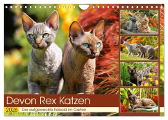 Cover Devon Rex Katzen. Der aufgeweckte Kobold im Garten (Wandkalender 2026 DIN A4 quer), CALVENDO Monatskalender