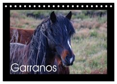 Cover Garranos - Bedrohte Wildpferde Europas (Tischkalender 2026 DIN A5 quer), CALVENDO Monatskalender