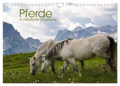 Cover Pferde - In natürlicher Umgebung (Wandkalender 2026 DIN A4 quer), CALVENDO Monatskalender