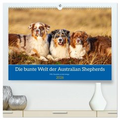 Mit Aussies unterwegs - Die bunte Welt der Australian Shepherds (hochwertiger Premium Wandkalender 2026 DIN A2 quer), Kunstdruck in Hochglanz