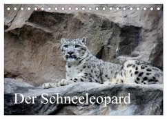 Der Schneeleopard (Tischkalender 2026 DIN A5 quer), CALVENDO Monatskalender Der Schneeleopard (Tischkalender 2026 DIN A5 quer), CALVENDO Monatskalender
