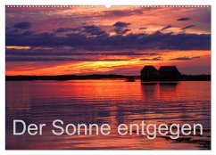 Der Sonne entgegen (Wandkalender 2026 DIN A2 quer), CALVENDO Monatskalender