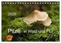 Pilze in Wald und Flur (Tischkalender 2026 DIN A5 quer), CALVENDO Monatskalender