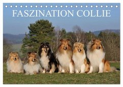 Faszination Collie 2026 (Tischkalender 2026 DIN A5 quer), CALVENDO Monatskalender