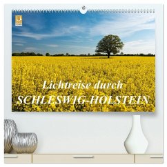 Lichtreise durch Schleswig-Holstein (hochwertiger Premium Wandkalender 2026 DIN A2 quer), Kunstdruck in Hochglanz
