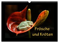 Frösche und Kröten (Wandkalender 2026 DIN A3 quer), CALVENDO Monatskalender Frösche und Kröten (Wandkalender 2026 DIN A3 quer), CALVENDO Monatskalender