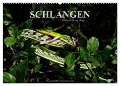 Schlangen (Wandkalender 2026 DIN A2 quer), CALVENDO Monatskalender Schlangen (Wandkalender 2026 DIN A2 quer), CALVENDO Monatskalender