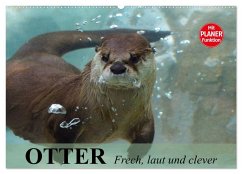 Cover Otter. Frech, laut und clever (Wandkalender 2026 DIN A2 quer), CALVENDO Monatskalender