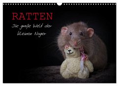 Ratten. Die große Welt der kleinen Nager (Wandkalender 2026 DIN A3 quer), CALVENDO Monatskalender Ratten. Die große Welt der kleinen Nager (Wandkalender 2026 DIN A3 quer), CALVENDO Monatskalender