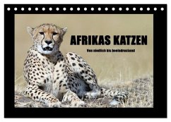 Cover Afrikas Katzen (Tischkalender 2026 DIN A5 quer), CALVENDO Monatskalender