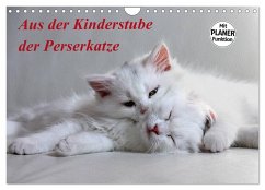 Cover Aus der Kinderstube der Perserkatze (Wandkalender 2026 DIN A4 quer), CALVENDO Monatskalender