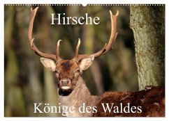 Cover Hirsche - Könige des Waldes/Geburtstagskalender (Wandkalender 2026 DIN A2 quer), CALVENDO Monatskalender