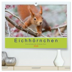 Eichhörnchen - Kleine Kobolde im Roten Pelz (hochwertiger Premium Wandkalender 2026 DIN A2 quer), Kunstdruck in Hochglanz