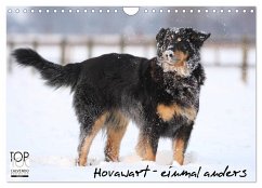 Cover Hovawarte - einmal anders (Wandkalender 2026 DIN A4 quer), CALVENDO Monatskalender