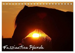 Faszination Pferde (Tischkalender 2026 DIN A5 quer), CALVENDO Monatskalender