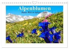 Cover Alpenblumen. Bunte Welt in luftiger Höhe (Wandkalender 2026 DIN A4 quer), CALVENDO Monatskalender