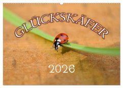Marienkäfer 2026 (Wandkalender 2026 DIN A2 quer), CALVENDO Monatskalender