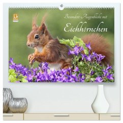Besondere Augenblicke mit Eichhörnchen (hochwertiger Premium Wandkalender 2026 DIN A2 quer), Kunstdruck in Hochglanz Cover Besondere Augenblicke mit Eichhörnchen (hochwertiger Premium Wandkalender 2026 DIN A2 quer), Kunstdruck in Hochglanz