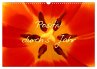 Positiv durch´s Jahr (Wandkalender... - Bild 1