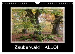 Cover Zauberwald HALLOH (Wandkalender 2026 DIN A4 quer), CALVENDO Monatskalender