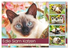 Edle Siamkatzen. Anmut und Charakter im Spiel mit der Natur (Wandkalender 2026 DIN A3 quer), CALVENDO Monatskalender