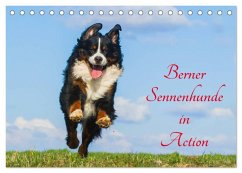 Berner Sennenhunde in Action (Tischkalender 2026 DIN A5 quer), CALVENDO Monatskalender