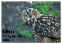Uhu - König der Nacht (Wandkalender 2026 DIN A3 quer), CALVENDO Monatskalender