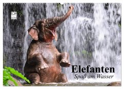 Cover Elefanten. Spaß am Wasser (Wandkalender 2026 DIN A2 quer), CALVENDO Monatskalender