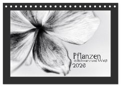 Pflanzen in Schwarz und Weiß (Tischkalender 2026 DIN A5 quer), CALVENDO Monatskalender
