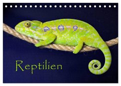 Reptilien (Tischkalender 2026 DIN A5 quer), CALVENDO Monatskalender
