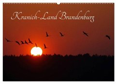 Cover Kranich-Land Brandenburg (Wandkalender 2026 DIN A2 quer), CALVENDO Monatskalender