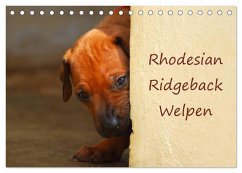 Cover Rhodesian Ridgeback Welpen (Tischkalender 2026 DIN A5 quer), CALVENDO Monatskalender