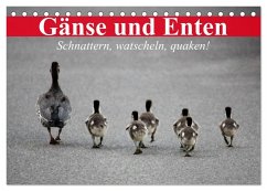 Gänse und Enten. Schnattern, watscheln, quaken! (Tischkalender 2026 DIN A5 quer), CALVENDO Monatskalender
