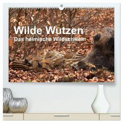Cover Wilde Wutzen. Das heimische Wildschwein (hochwertiger Premium Wandkalender 2026 DIN A2 quer), Kunstdruck in Hochglanz