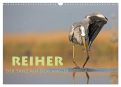 Reiher - Der Tanz auf dem Wasser (Wandkalender 2026 DIN A3 quer), CALVENDO Monatskalender