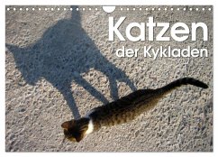 Cover Katzen der Kykladen (Wandkalender 2026 DIN A4 quer), CALVENDO Monatskalender