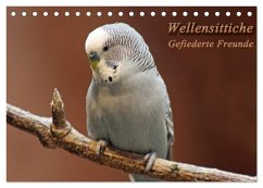 Cover Wellensittiche - Gefiederte Freunde (Tischkalender 2026 DIN A5 quer), CALVENDO Monatskalender