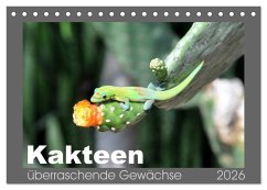 Kakteen - überraschende Gewächse (Tischkalender 2026 DIN A5 quer), CALVENDO Monatskalender