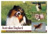 Australian Shepherd - Hütehunde mit... - Bild 1