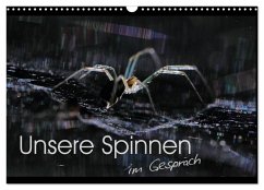 Cover Unsere Spinnen - im Gespräch (Wandkalender 2026 DIN A3 quer), CALVENDO Monatskalender